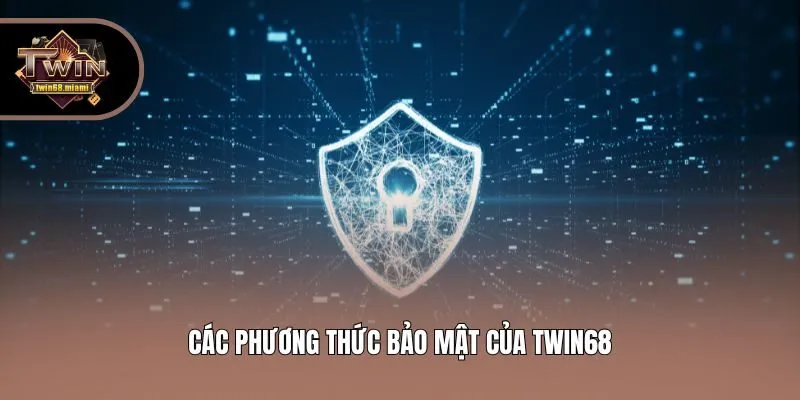 Các phương thức bảo mật của Twin68