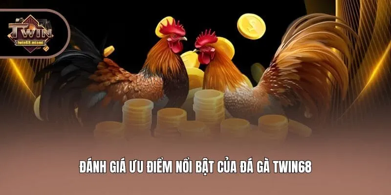 Đánh giá ưu điểm nổi bật của đá gà Twin68