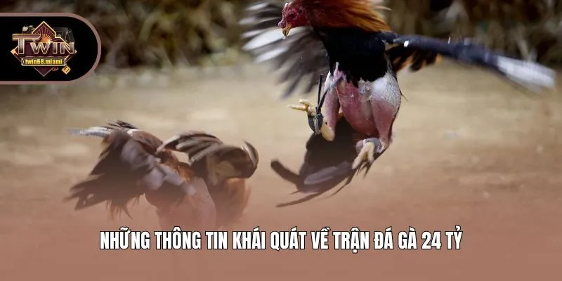Những thông tin khái quát về trận đá gà 24 tỷ