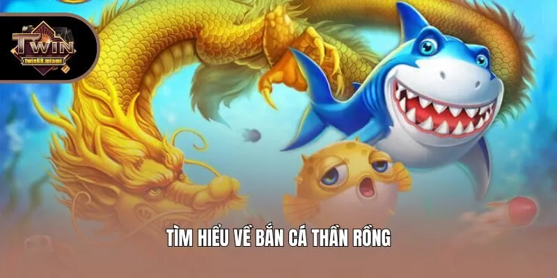 Tìm hiểu về bắn cá thần rồng